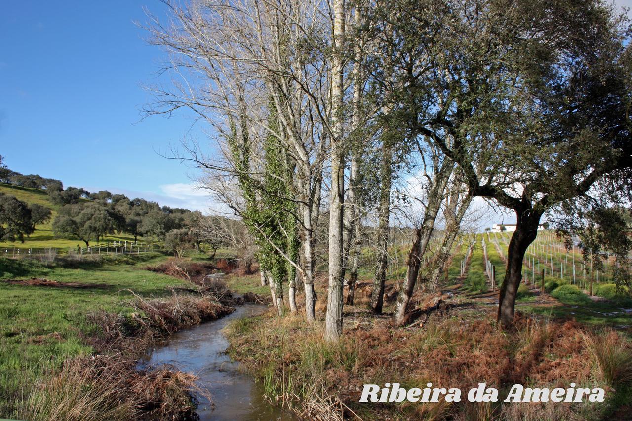 Hotel Rural Da Ameira Montemor-o-Novo Exteriör bild